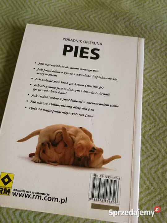 Pies Poradnik opiekuna G Meadows E Flint Szczecin