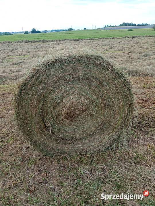 Siano120x130 podlaskie