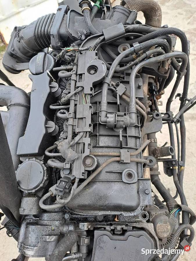 Ford Fokus MK2 16 TDCi 109 silnik kompletny kod Silniki kompletne Jastrzębie-Zdrój sprzedam