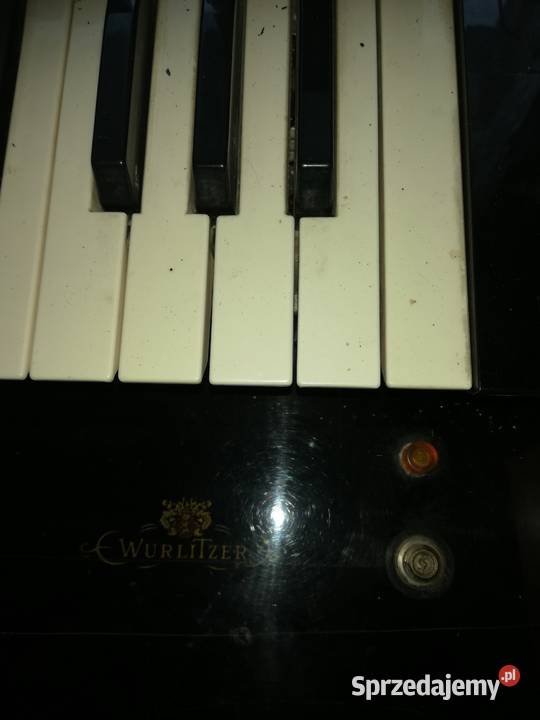 organy philips wurlitzer Radzyń Podlaski