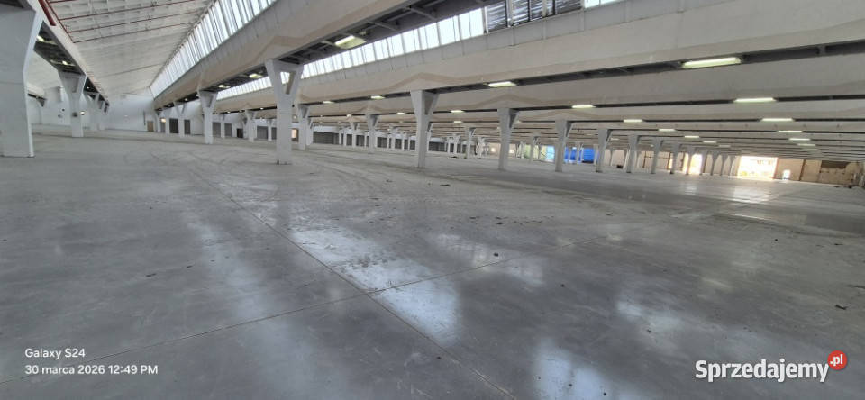 Hala magazynowa 12500m2 łódzkie Ozorków