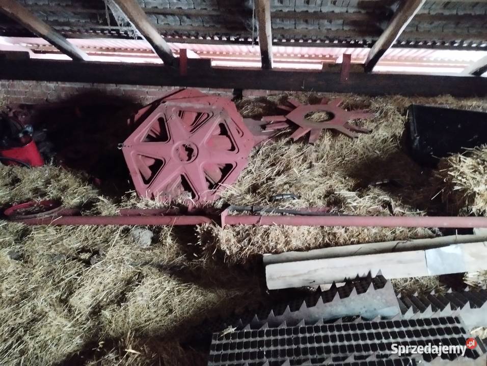 Na sprzedaż gwiazdy motowideł Massey Ferguson Szalowa