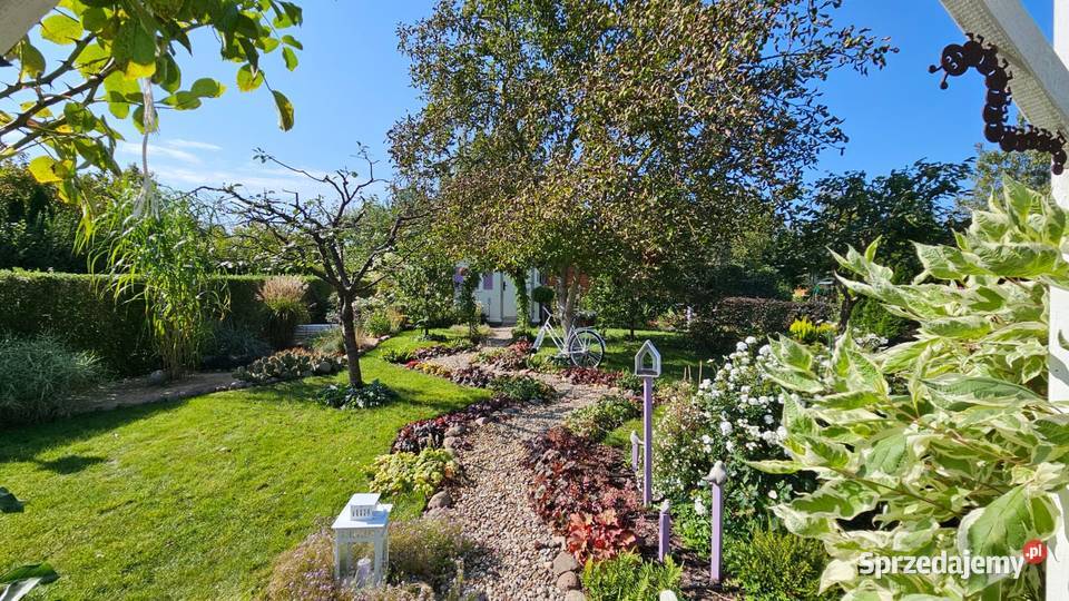 Działka ROD Wrzos w Radomiu