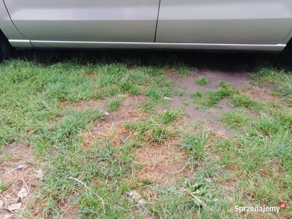 Mazda 5 18 Benzyna 2005 relingi dachowe Dąbrowa Tarnowska