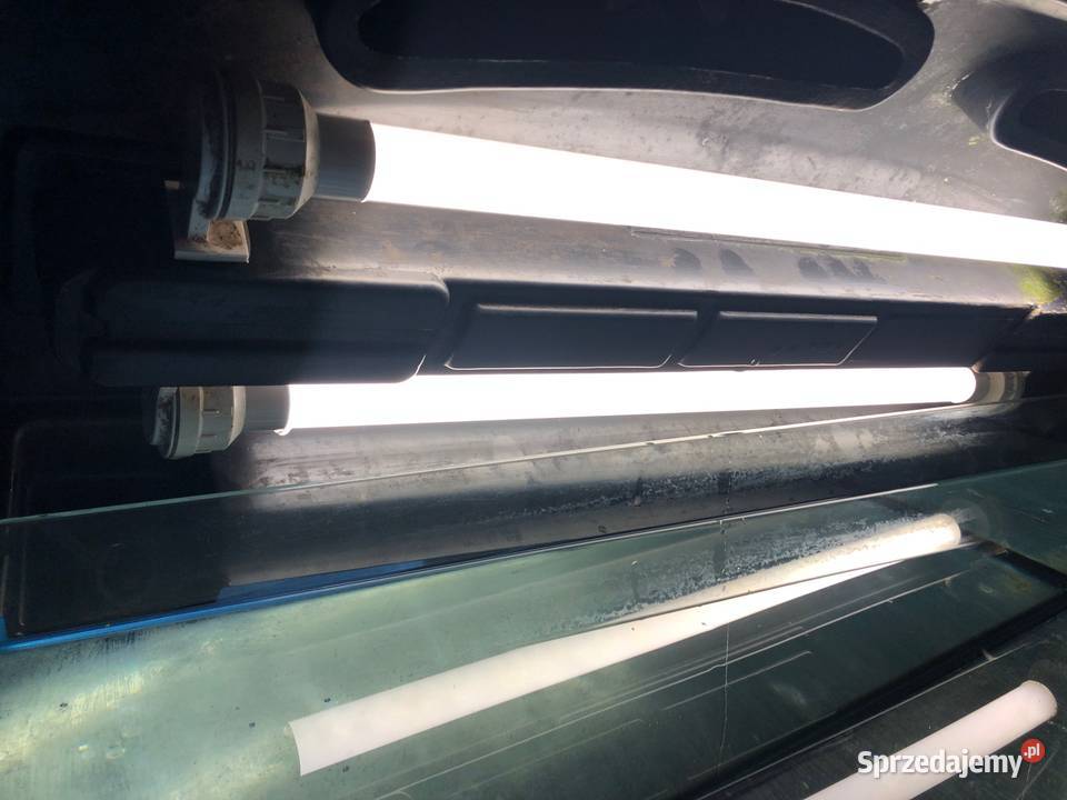 Akwarium panoramiczne 80 pokrywa oświetlenie Justynów