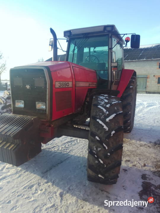 Massey Ferguson 3690 Grabów sprzedam