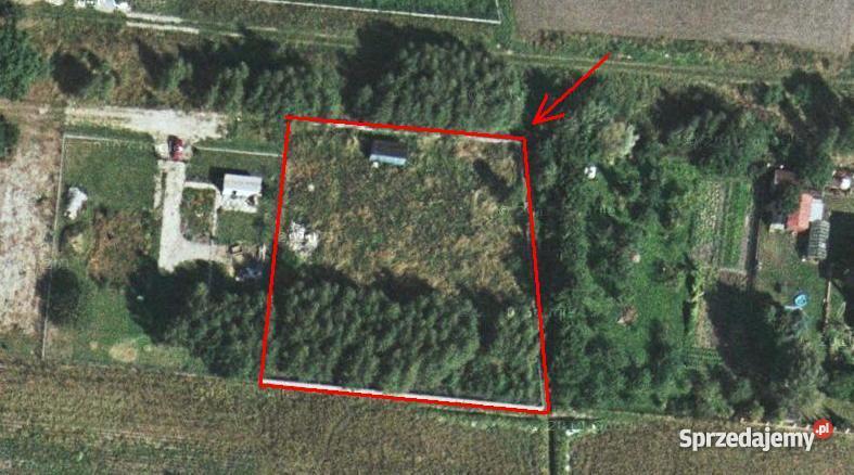 Bełchatów Zawady cicha ogrodzona z lasem sprzedam