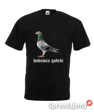 Koszulki hodowców gołębi Ruda Śląska
