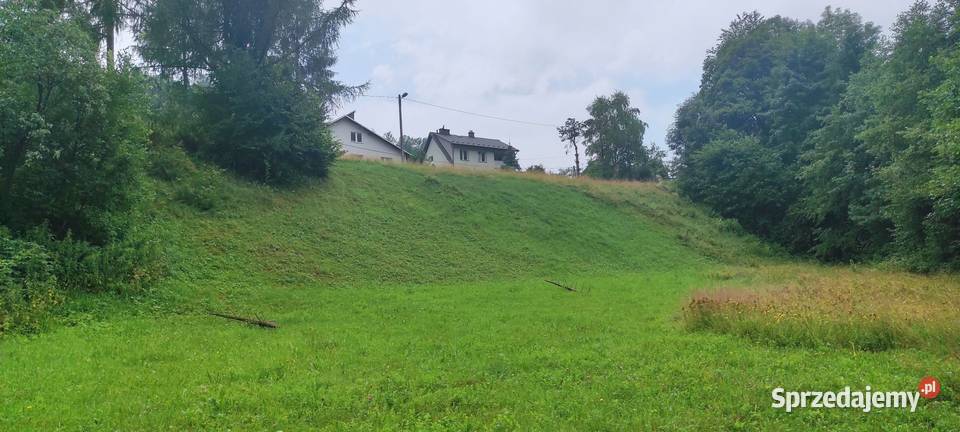 Działka budowlana u podnóża Beskidu Sądeckiego z Sprzedaż Obidza