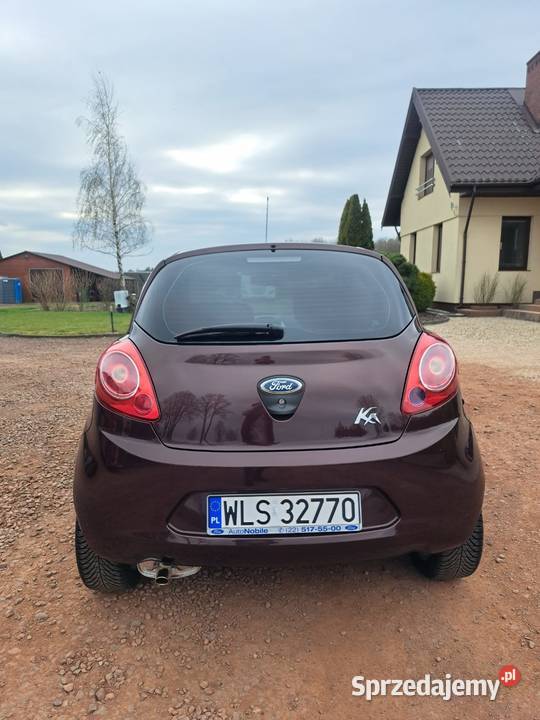 Ford Ka 12 Polski Salon 2015r mazowieckie Siedlce