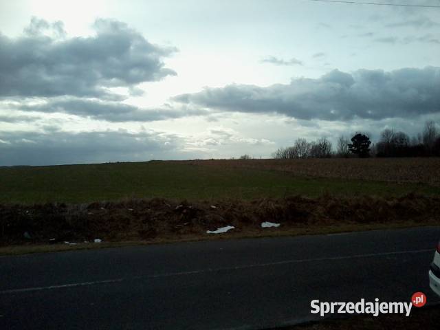 Sprzedam działkę 14133 ha w Rejowcu Fabrycznym 14133m2 lubelskie Rejowiec Fabryczny