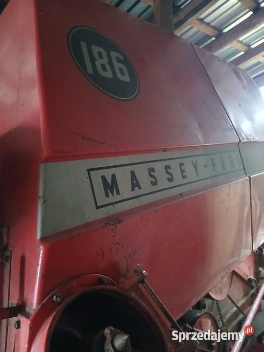 Massey ferguson 186 nieuszkodzony Kartuzy