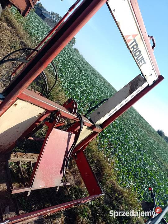 wycinak do kiszonki Trioliet Trioliet Augustów