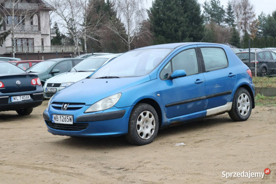 Peugeot 307 2001r 16 Benzyna 110 Tanio Długie Zarejestrowany w Polsce 307