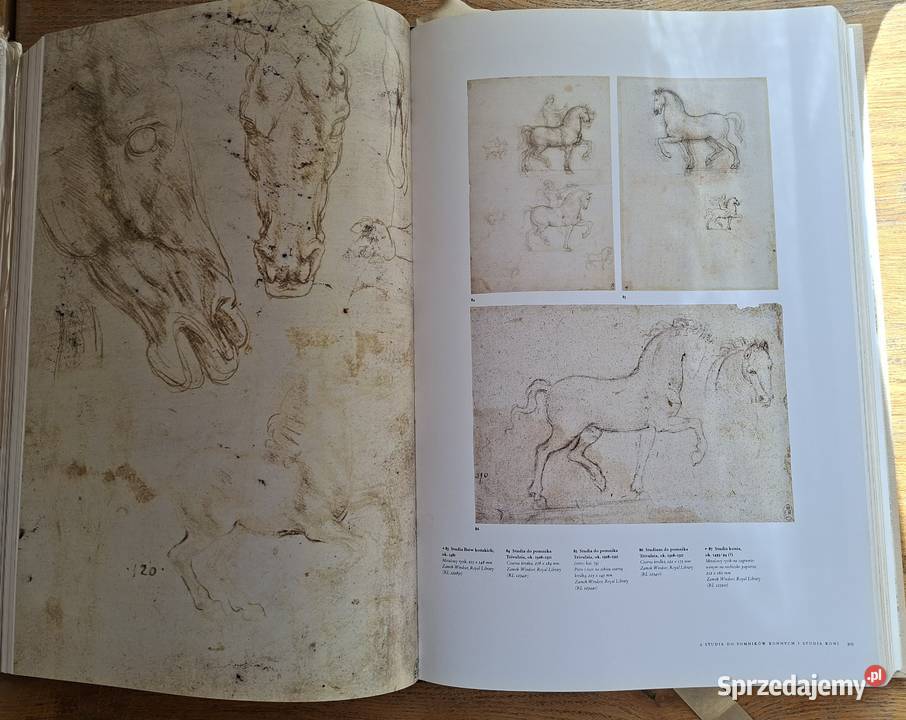 Leonardo d Vinci dzieła wszystkie Taschen Książki naukowe i popularnonaukowe małopolskie Kraków