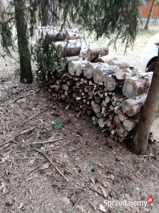 Sprzedam opał sosnowy