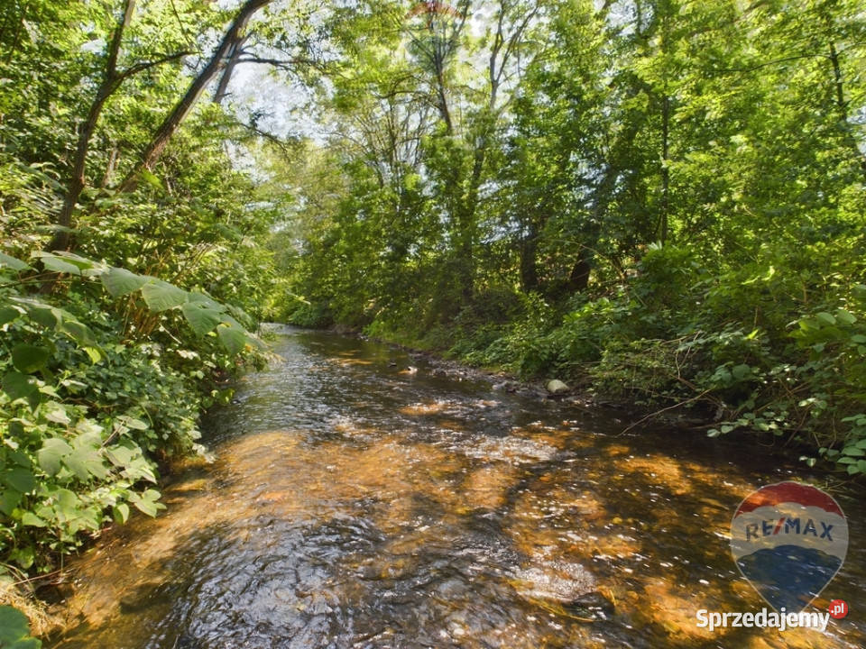 Na sprzedaż działka rekreacyjna Lenarcice