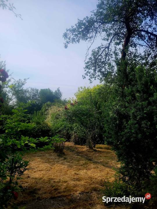 Działka rekreacyjna ogródek działkowy ROD małopolskie Kraków