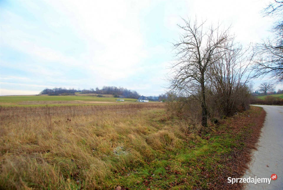 Działka 2273m2 Zajączków