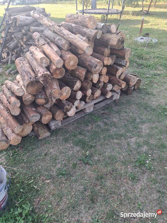 drewno sosnowe suszki i mix wierzba klon Lublin sprzedam