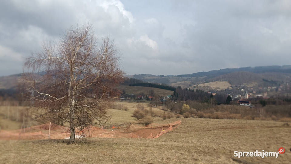 Działki pod lasem z panoramicznym widokiem Walim