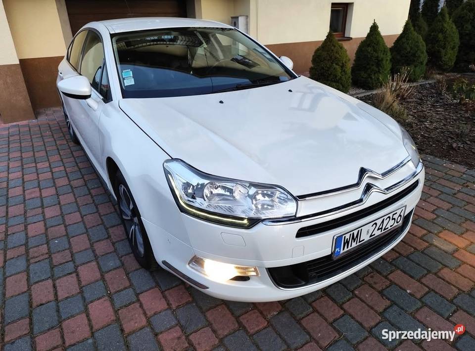 C5 CITROEN Sedan Biała perła Bluehdi manual bez Tłuszcz