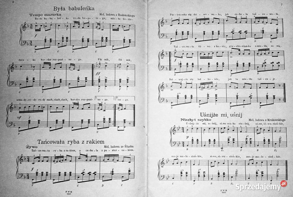 Skarbczyk akordeonisty Józef Powroźniak miękka Chełm