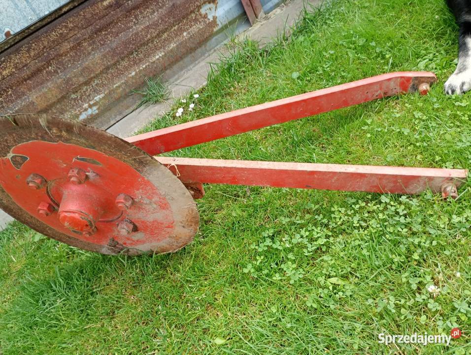 Krój prowadzący Piaski sprzedam