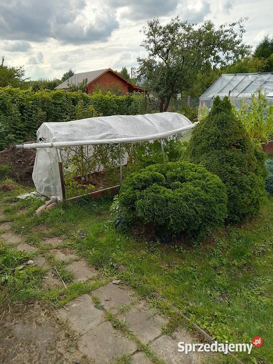 Sprzedam prawo do dzierżawy działki ROD w Relax Sprzedaż Białystok