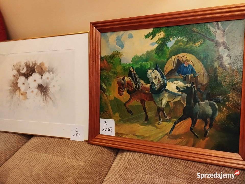 obraz obrazy obrazek spore wyprzedaż Gorzów Wielkopolski