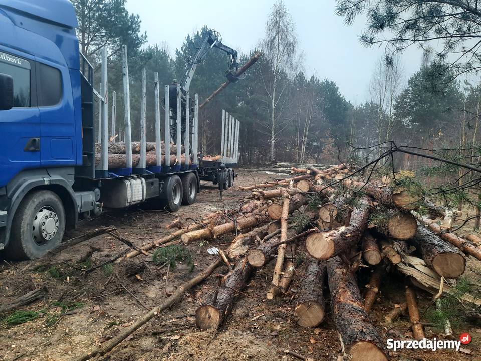 Czyszczenie działek przygotowanie terenu pod Warszawa