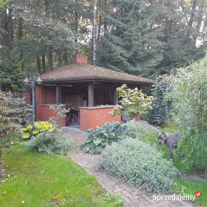SPRZEDAM DOM OLMONTY wolnostojący Sprzedaż Białystok