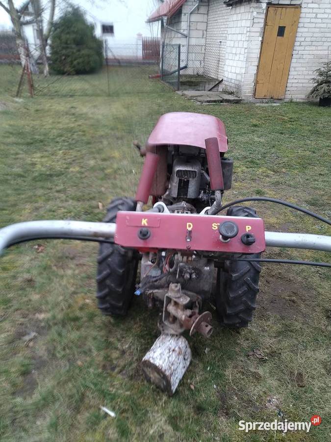 Sprzedam dzika 21 podkarpackie Przeworsk