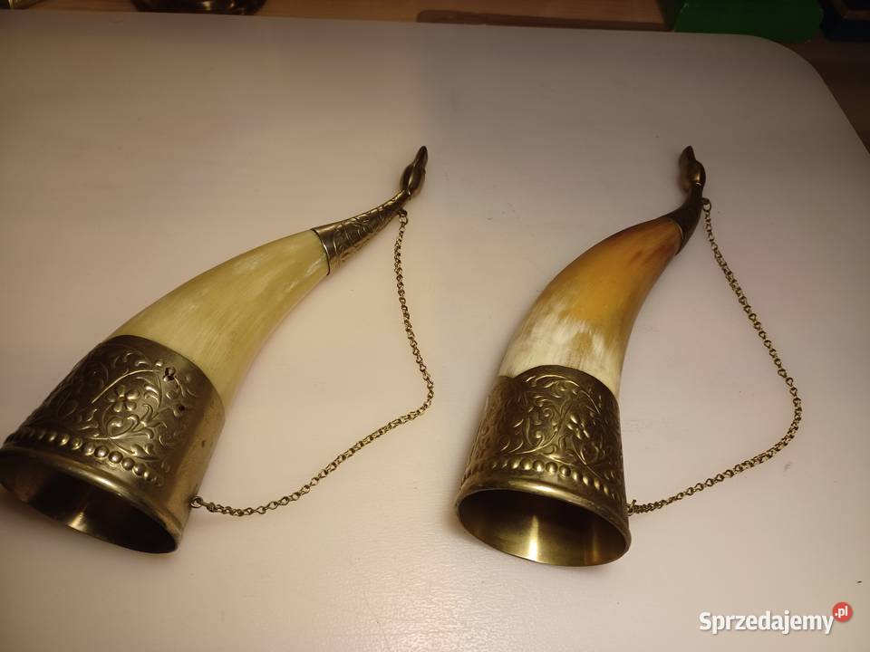 Piękny róg okuty mosiądzem Poznań sprzedam