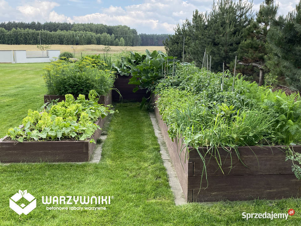 Skrzynie na warzywa wysokie warzywniak