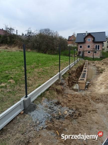 OgrodzeniaIMontażISiatka ogrodzeniowaIPanele śląskie Siewierz
