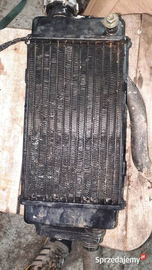 Chłodnica am6 Generic Trigger Wysokie Pierwsze