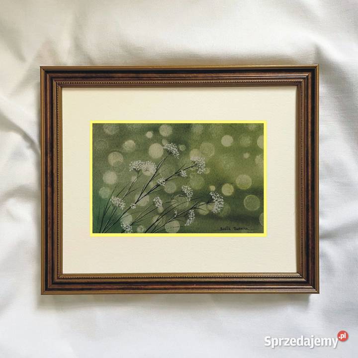 Akwarela Akwarelka Obraz Subtelność Autorska Malarstwo