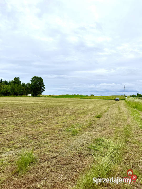 sprzedaży gruntu 3128m2 Błaskowizna rekreacyjna Sprzedaż sprzedam