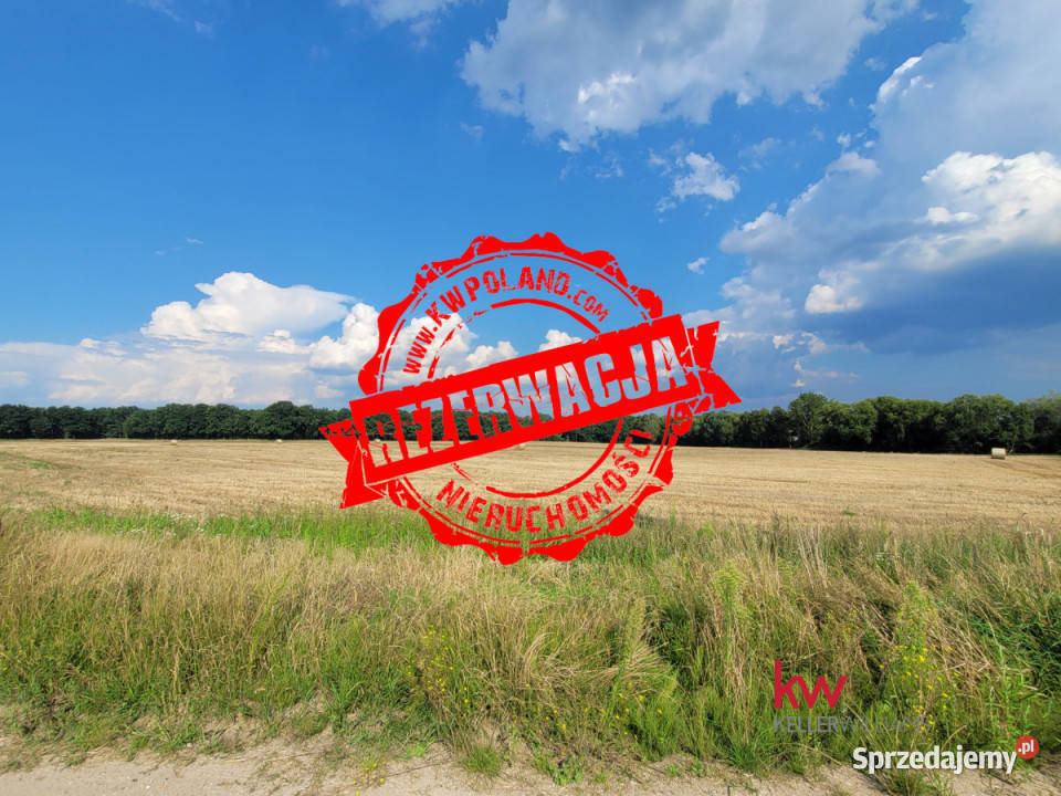Sprzedam grunt Grzebienisko 860 metrów budowlana wielkopolskie