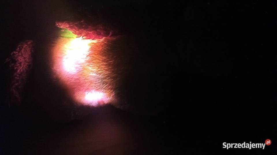 Jednorożec led maskotka podusia sprzedam