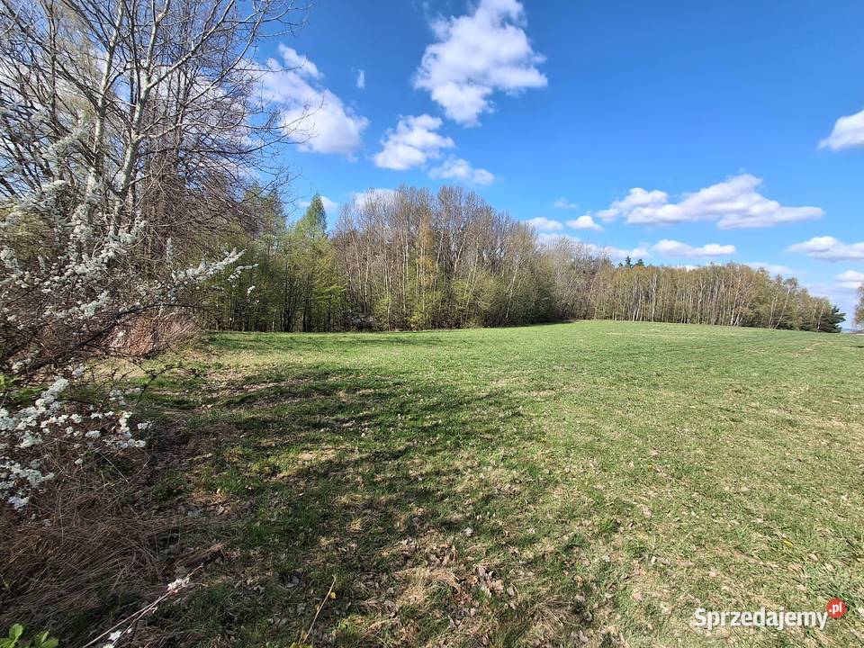 Lipnica dolna Działka rolnoleśna małopolskie