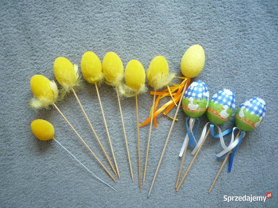 Wielkanoc Jajka Pisanki Kurczaki Kury Płotek wielokolorowy zachodniopomorskie Szczecin sprzedam
