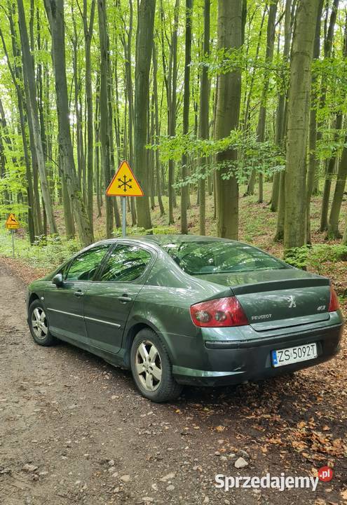 Peugeot 407 20 2007 DT 407 Szczecin