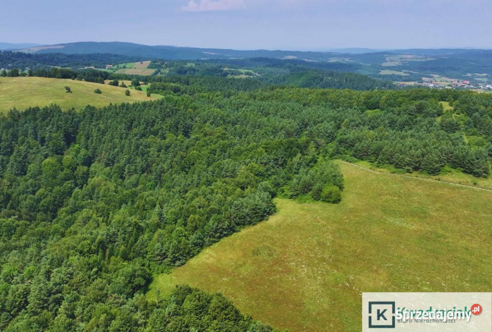 sprzedaży działki Łukowe 19327m2 19327m2 Grunty i działki
