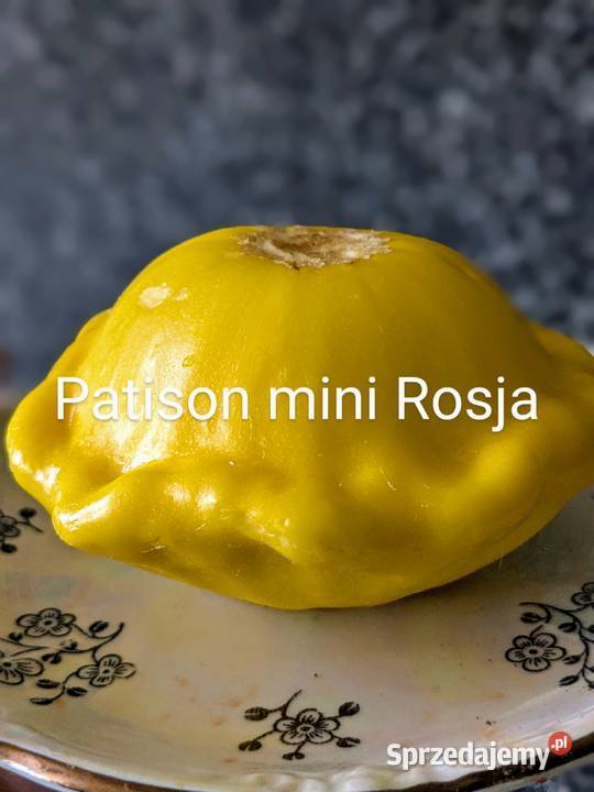 Nasiona Papryki j Sweetbites Corbacii kolory Kraków