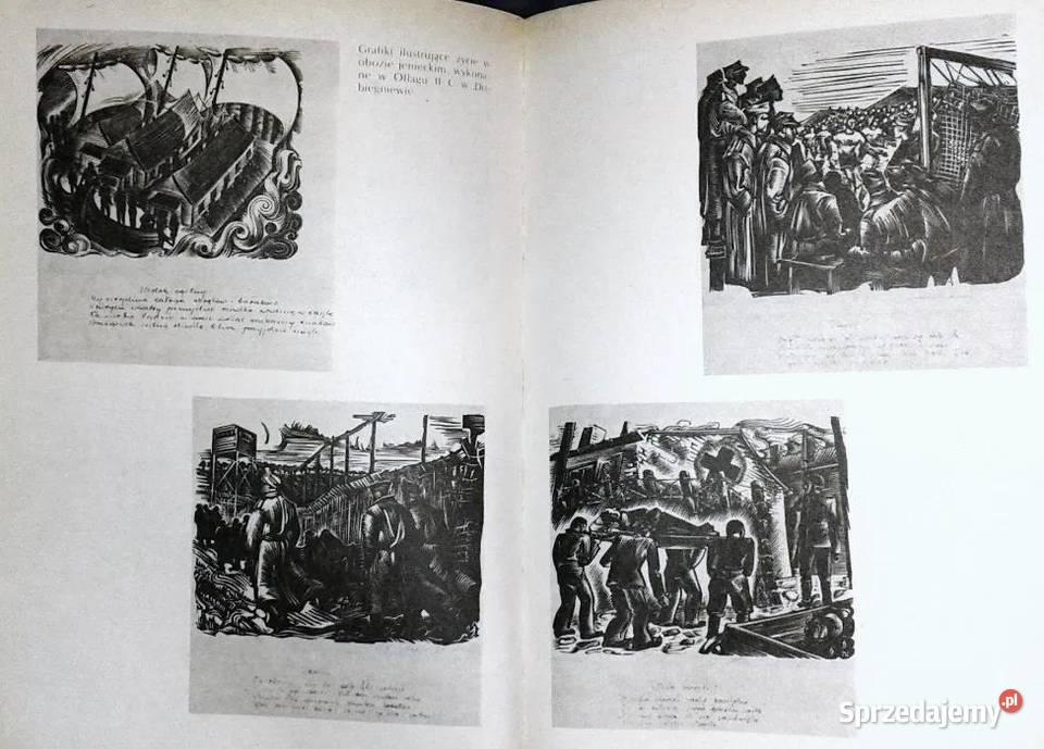 Jeńcy polscy w hitlerowskiej niewoli Juliusz Chełm