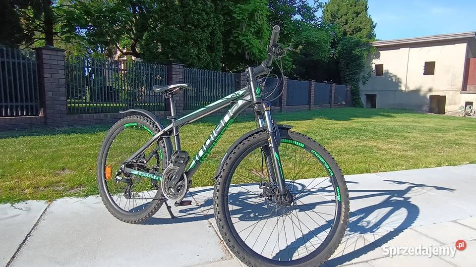 Rower indiana xpulser 26 Lebiedziew