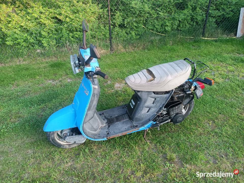 Sprzedam Koczergi