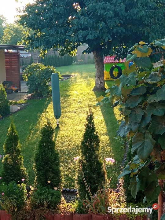 Mieszkanie z działką i garażem dom wolnostojący Sprzedaż Szczecin